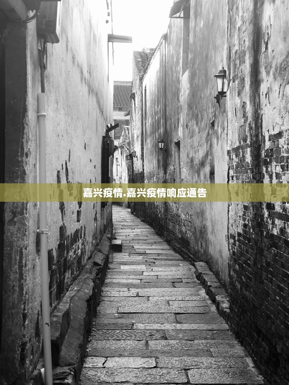 嘉兴疫情.嘉兴疫情响应通告 嘉兴疫情.嘉兴疫情响应通告