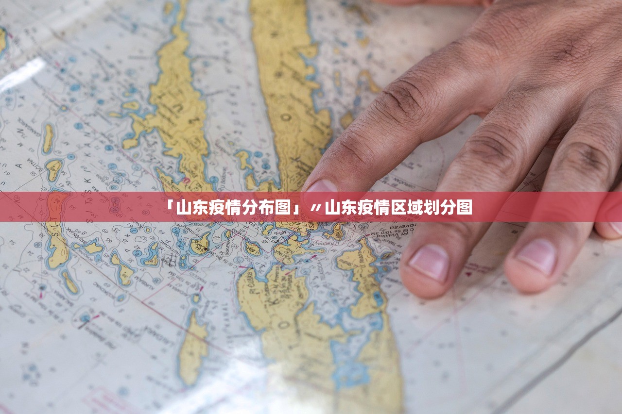「山东疫情分布图」〃山东疫情区域划分图