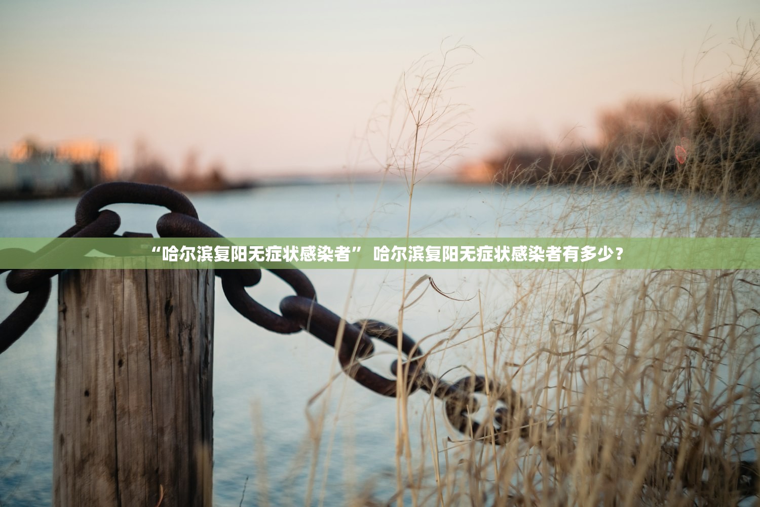 “哈尔滨复阳无症状感染者” 哈尔滨复阳无症状感染者有多少？