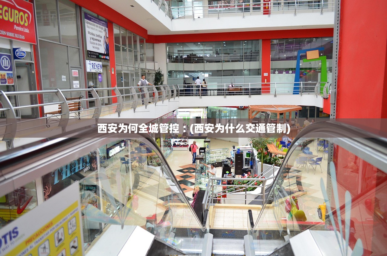 西安为何全城管控︰(西安为什么交通管制) 西安为何全城管控︰(西安为什么交通管制)
