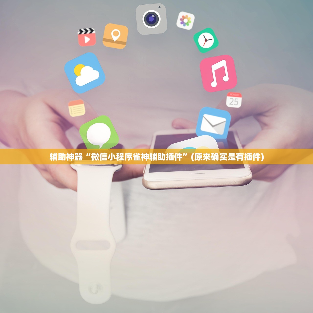 辅助神器“微信小程序雀神辅助插件”(原来确实是有插件)