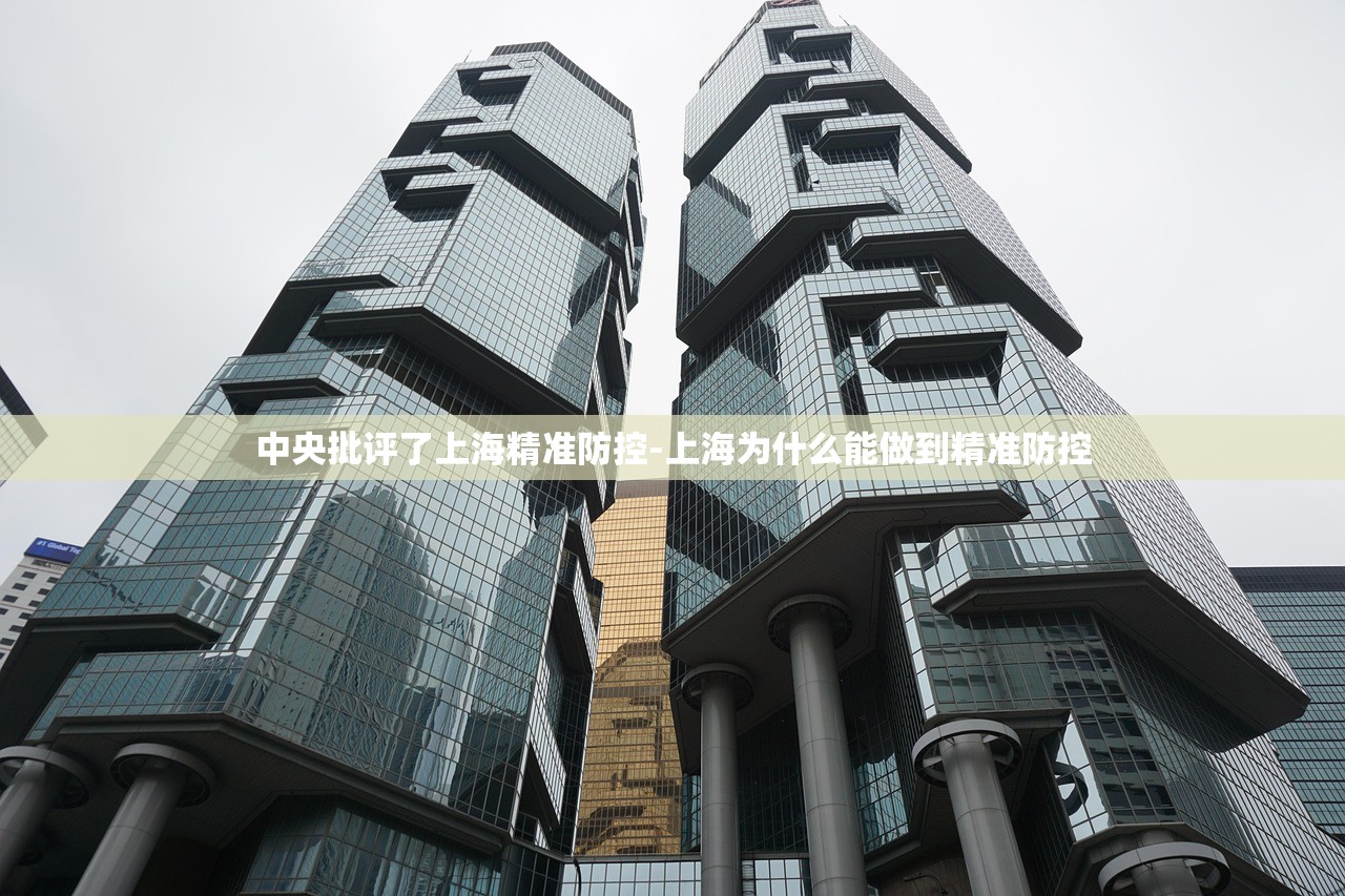 中央批评了上海精准防控-上海为什么能做到精准防控