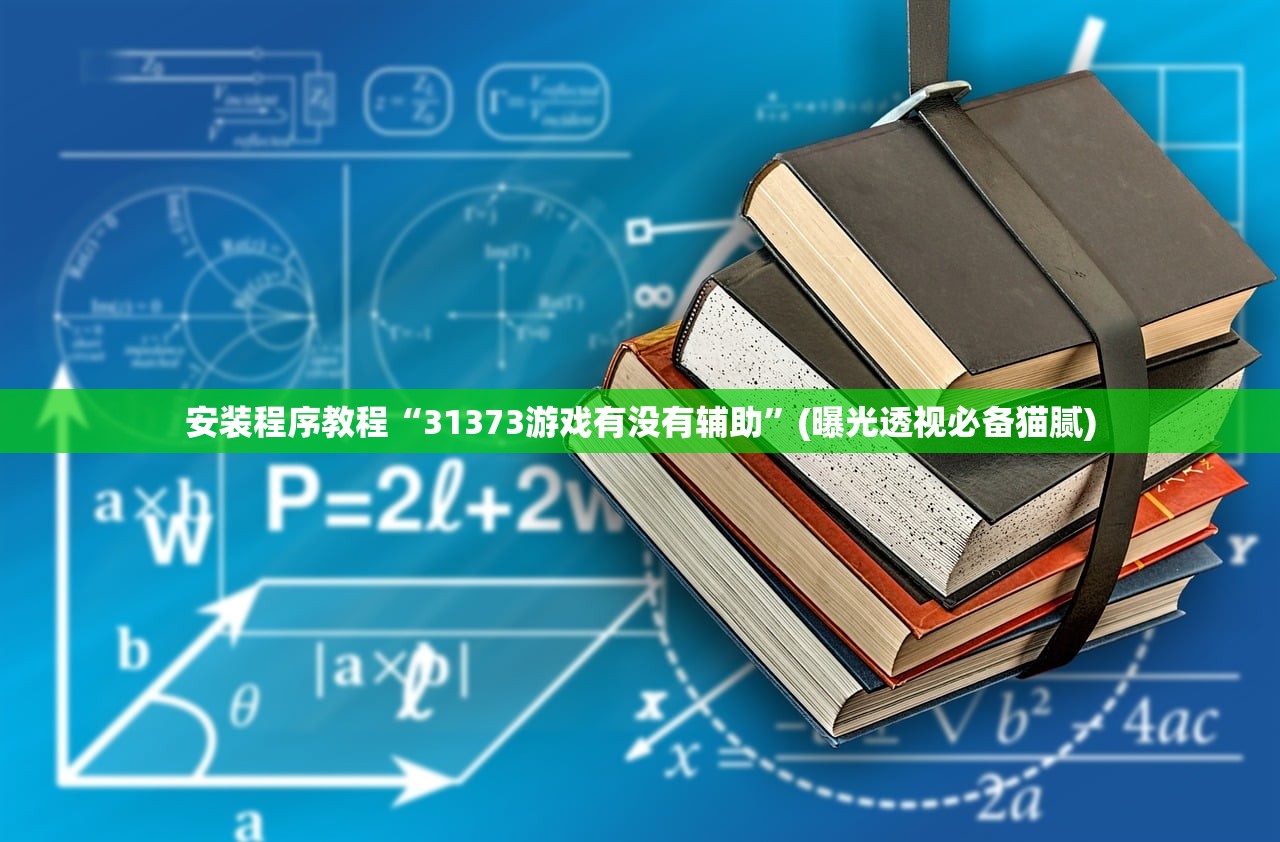 安装程序教程“31373游戏有没有辅助	”(曝光透视必备猫腻)