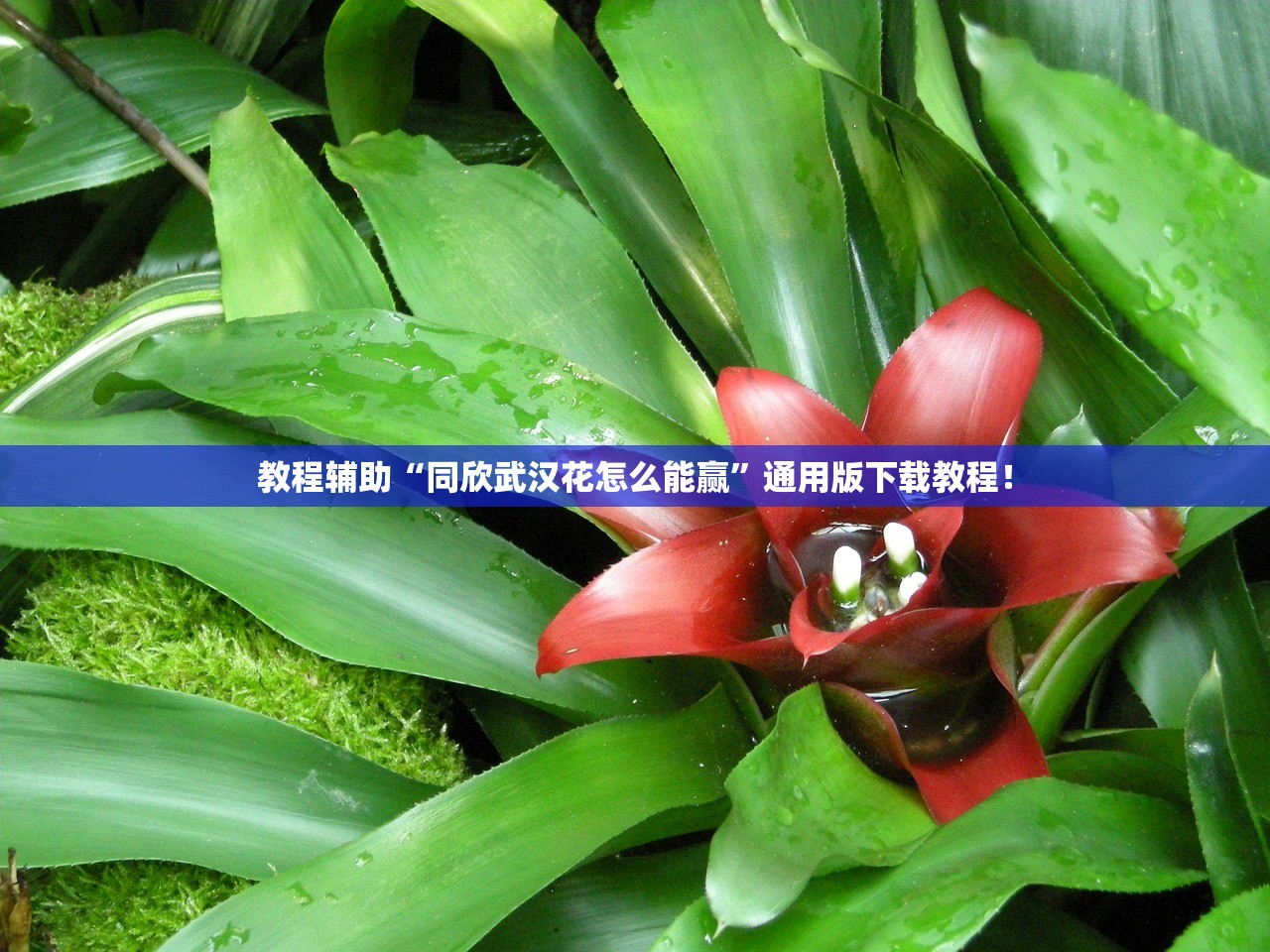 浦东疫情最新情况〃浦东疫情最新情况 浦东疫情最新情况〃浦东疫情最新情况