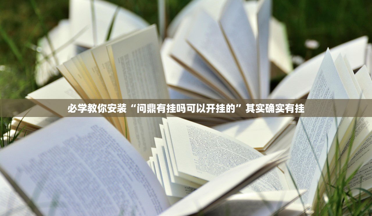 可用版本“辅助熊猫有没有辅助器”详细开挂教程