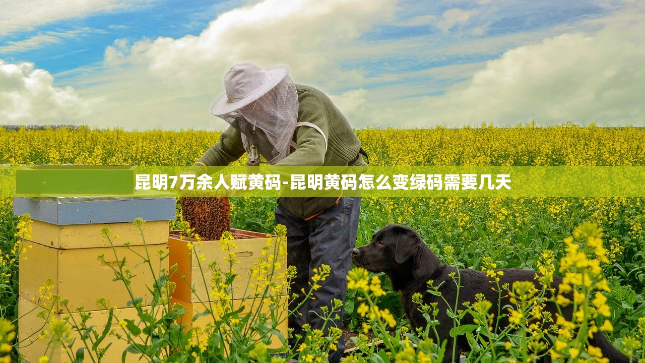 昆明7万余人赋黄码-昆明黄码怎么变绿码需要几天 昆明7万余人赋黄码-昆明黄码怎么变绿码需要几天