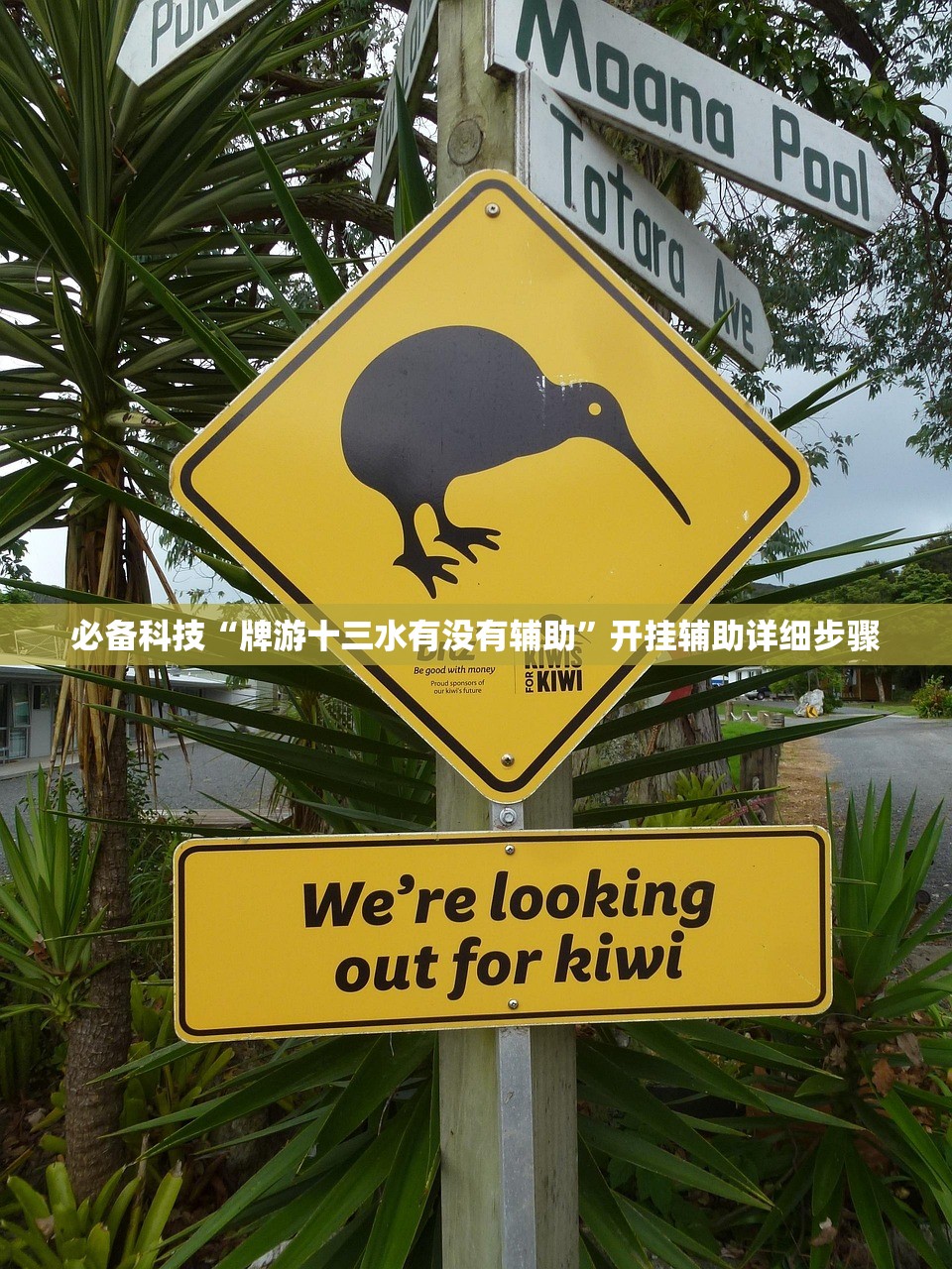 “成都什么时候能解封” 成都好久能解封？