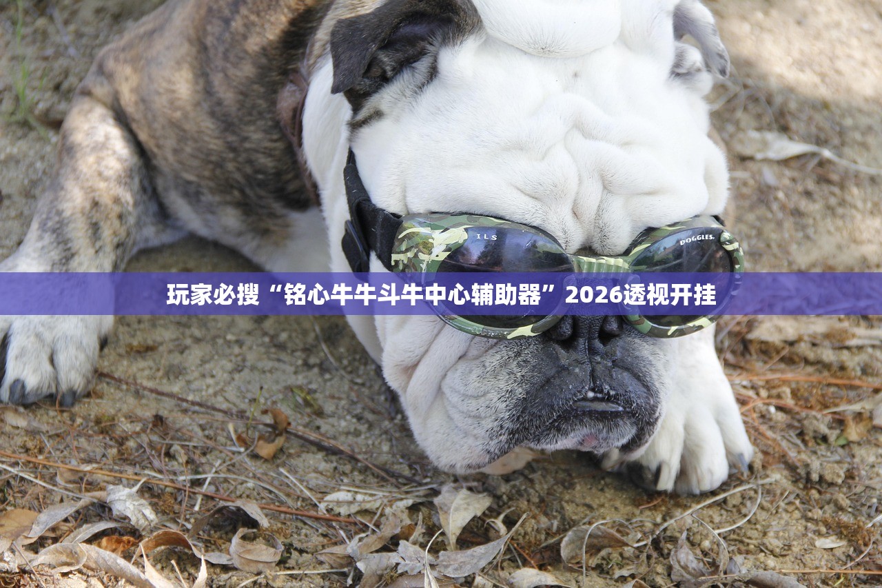 必备科技“天天十三张怎么辅助	”详细分享装挂步骤