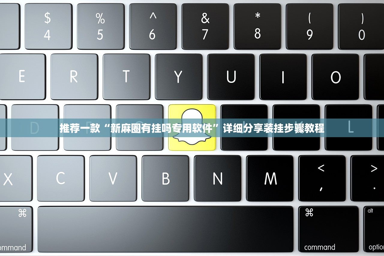 推荐一款“新麻圈有挂吗专用软件”详细分享装挂步骤教程