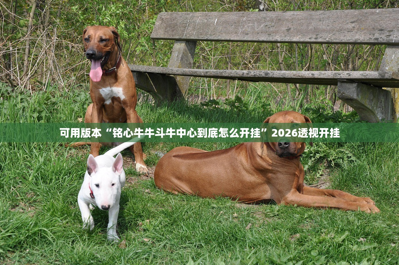 今日必看教程“欢乐十三水是不是有挂”揭秘透视辅助万能挂用法