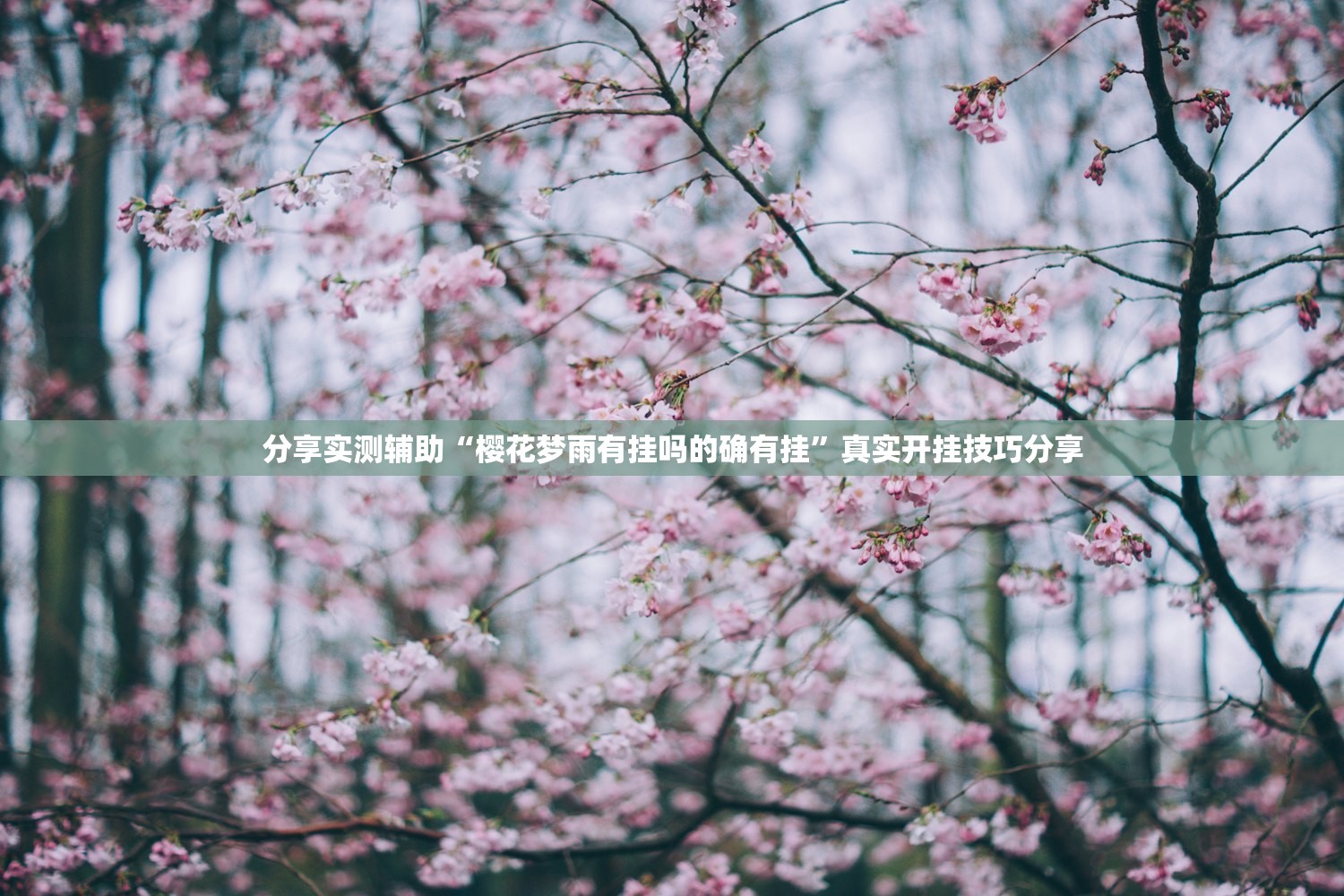 教程解析“钱塘十三水到底有没有挂”作弊(透视)透视辅助 
