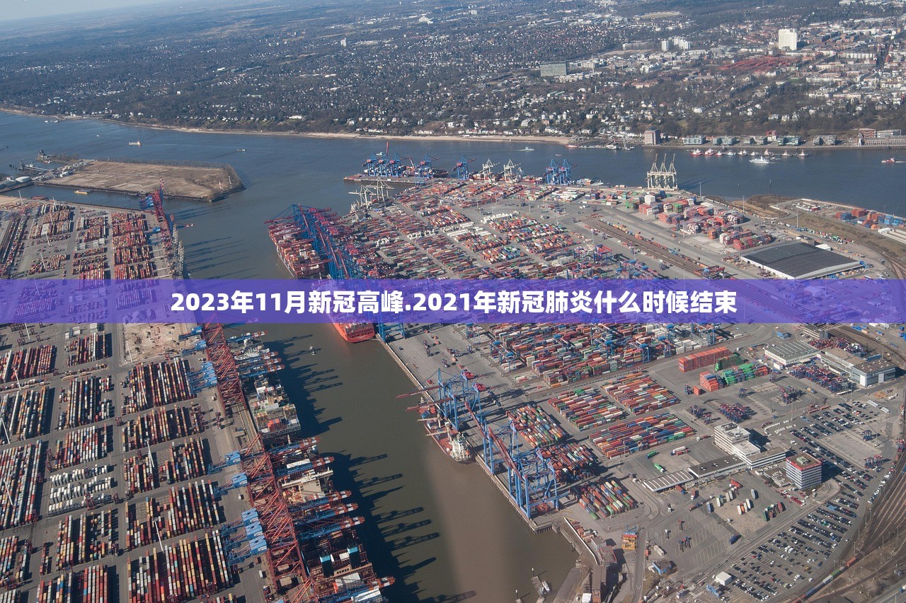 2023年11月新冠高峰.2021年新冠肺炎什么时候结束 2023年11月新冠高峰.2021年新冠肺炎什么时候结束