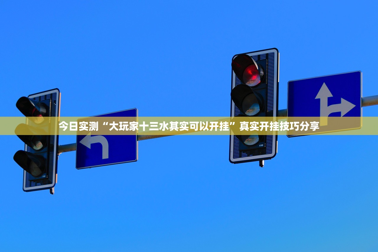 今日实测“大玩家十三水其实可以开挂”真实开挂技巧分享