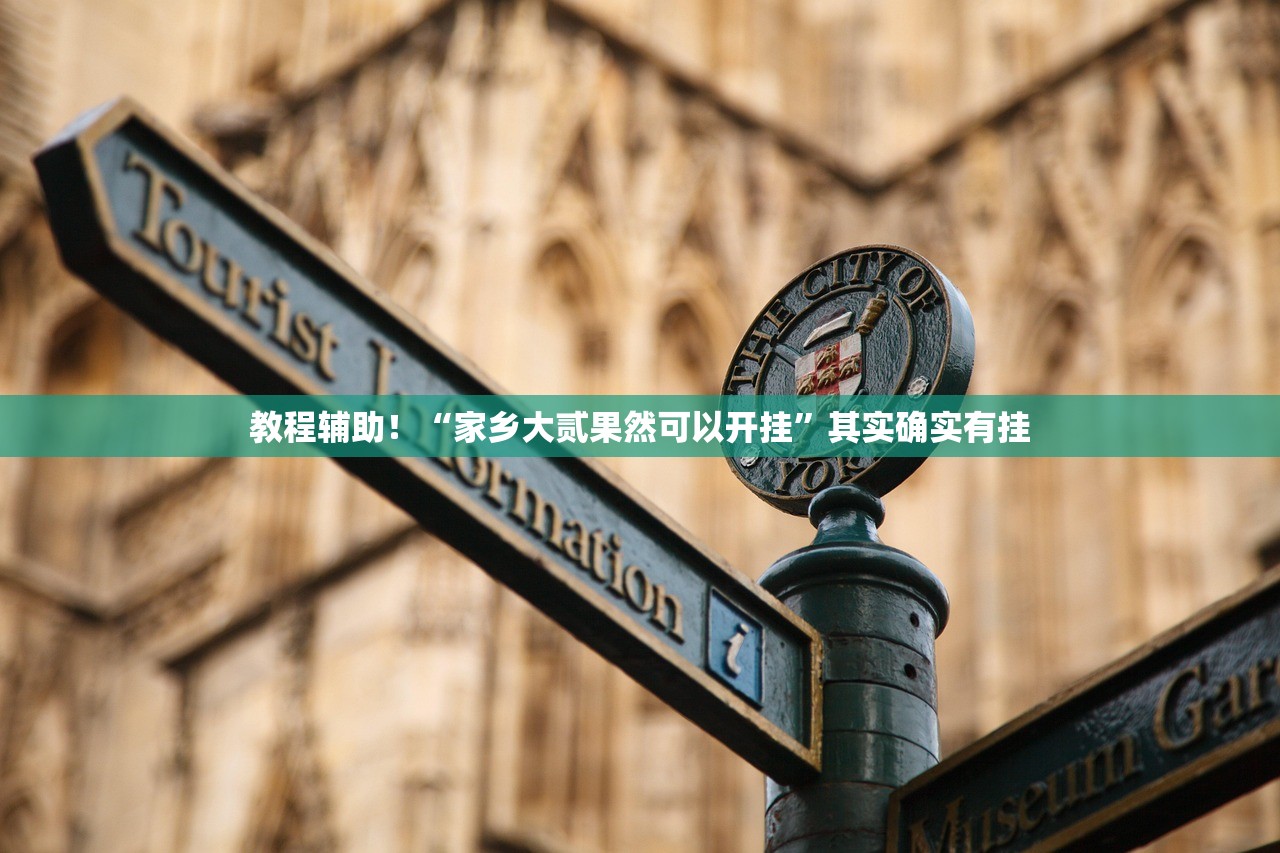 教程辅助！“家乡大贰果然可以开挂”其实确实有挂