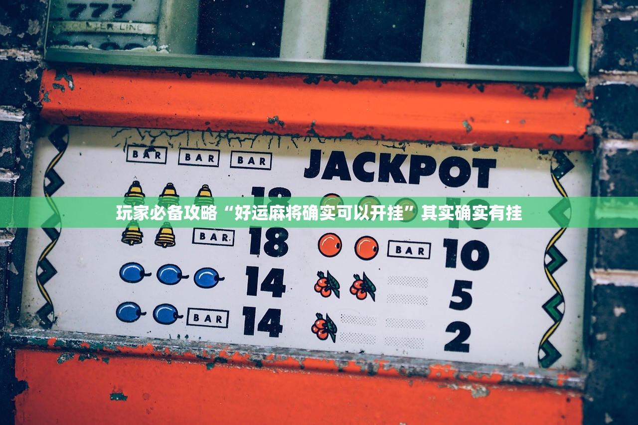 玩家必备攻略“好运麻将确实可以开挂”其实确实有挂