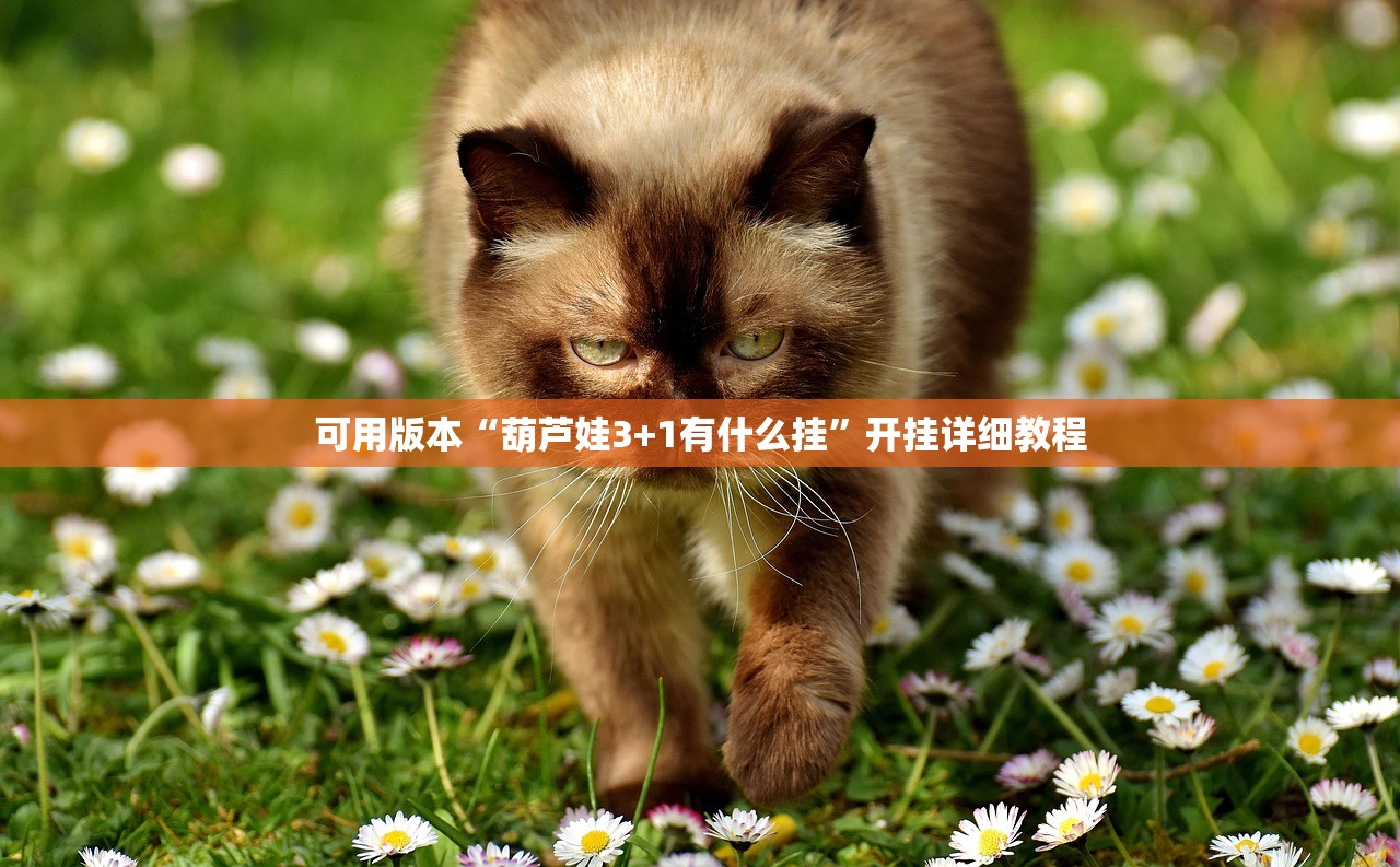 教程解析“美猴王有挂吗专用软件”开挂辅助详细步骤