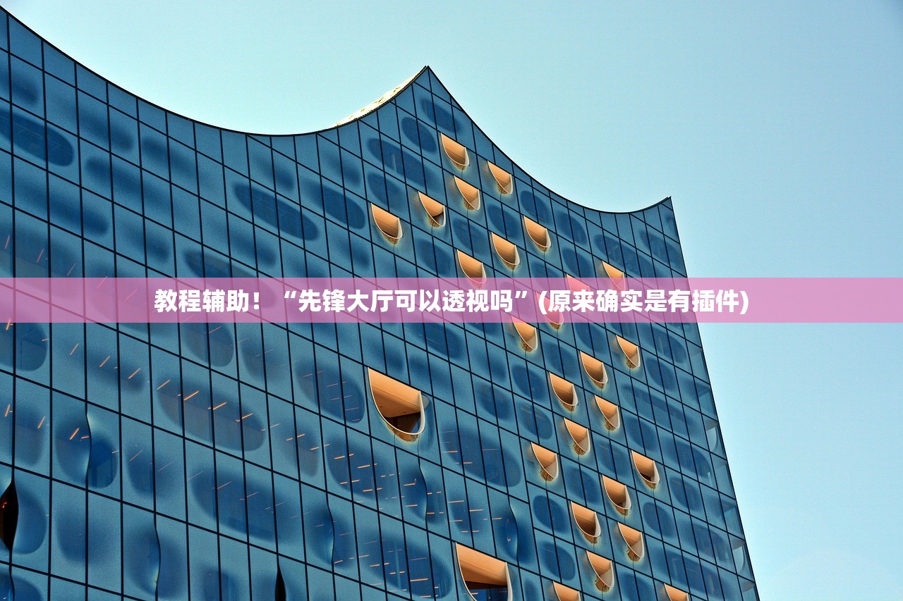 教程辅助！“先锋大厅可以透视吗”(原来确实是有插件)