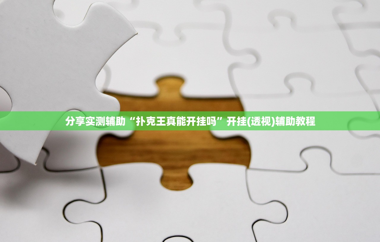 分享实测辅助“辅助熊猫派对黑科技”2026开挂教程步骤