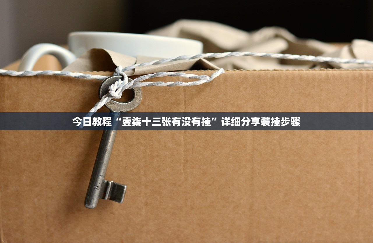 今日教程“壹柒十三张有没有挂	”详细分享装挂步骤