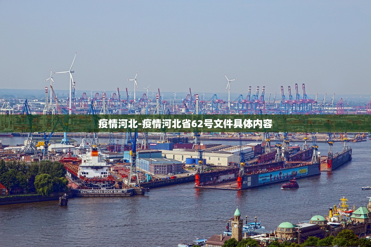 疫情河北-疫情河北省62号文件具体内容