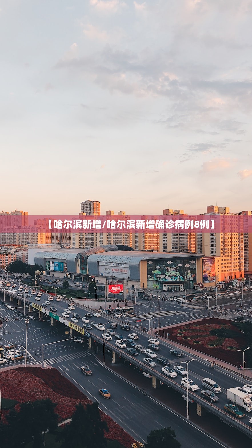 【哈尔滨新增/哈尔滨新增确诊病例8例】