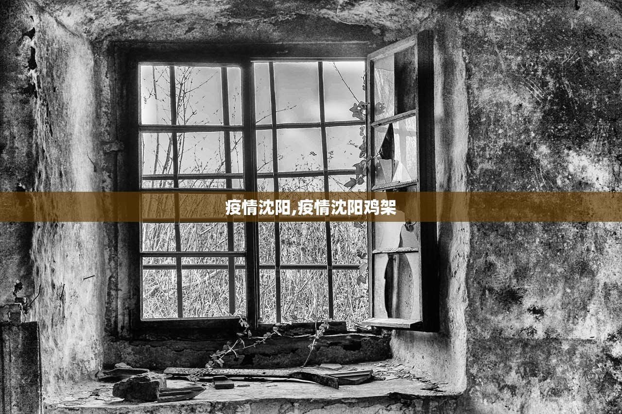 疫情沈阳,疫情沈阳鸡架