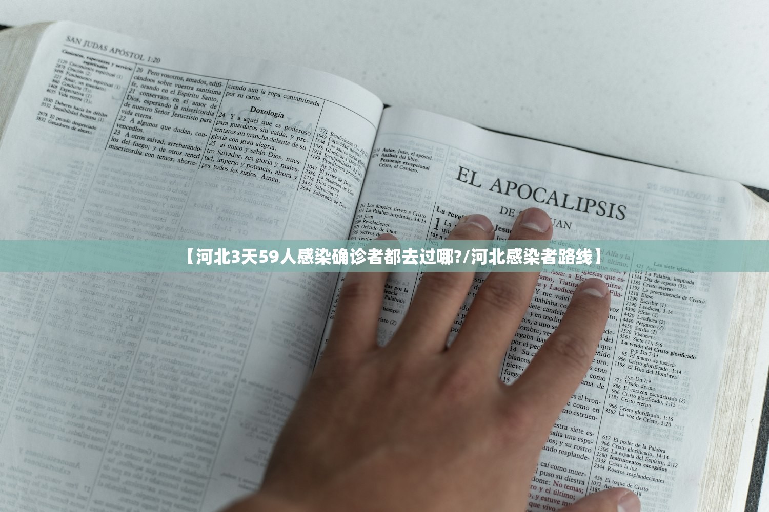 安装程序教程“五福长牌黑科技”开挂(透视)辅助教程