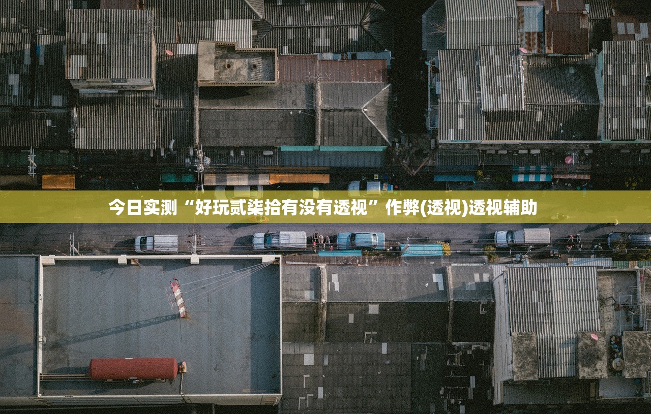 今日实测“好玩贰柒拾有没有透视”作弊(透视)透视辅助 