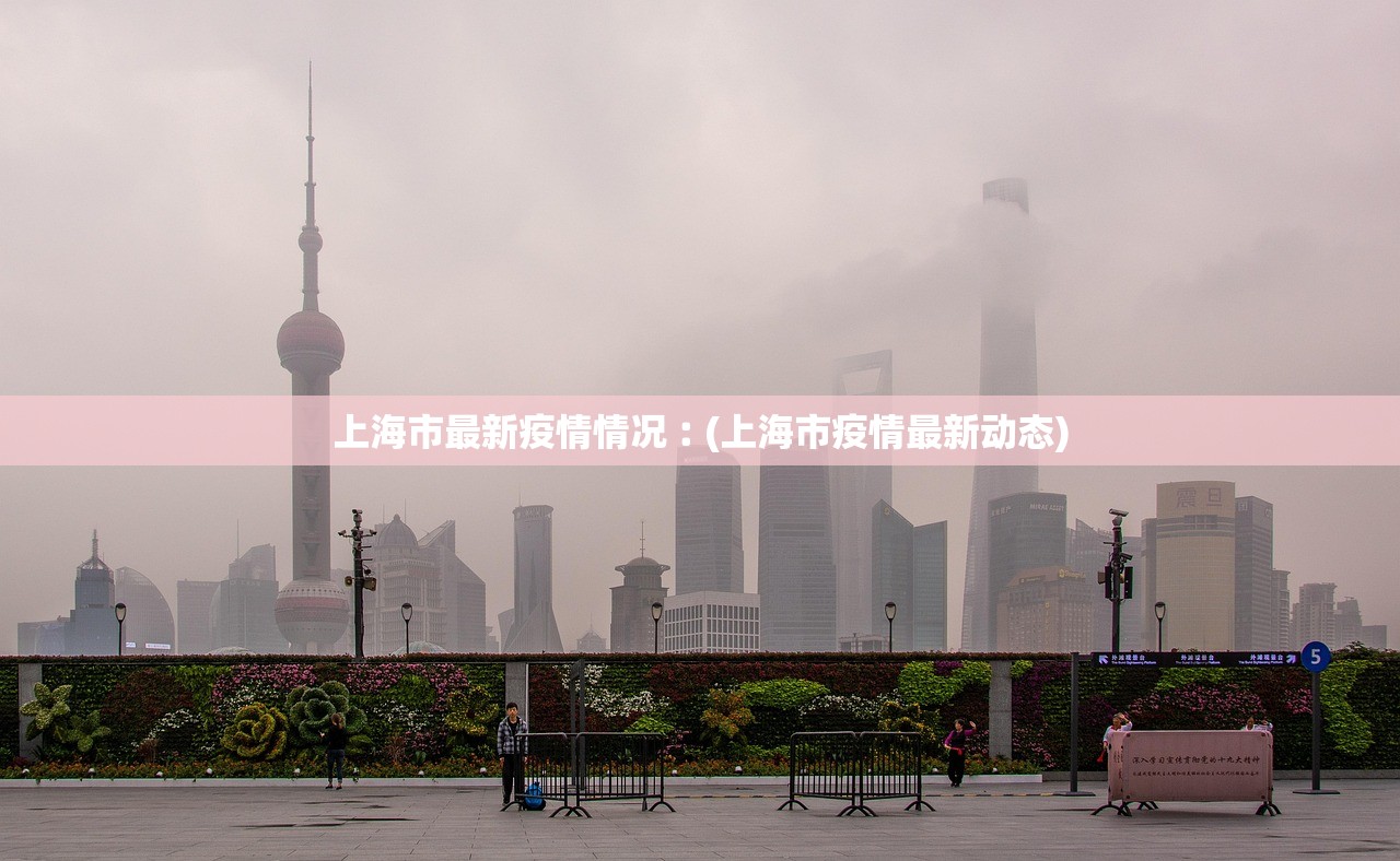 上海市最新疫情情况︰(上海市疫情最新动态)