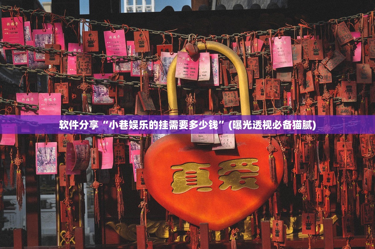 软件分享“小巷娱乐的挂需要多少钱”(曝光透视必备猫腻)