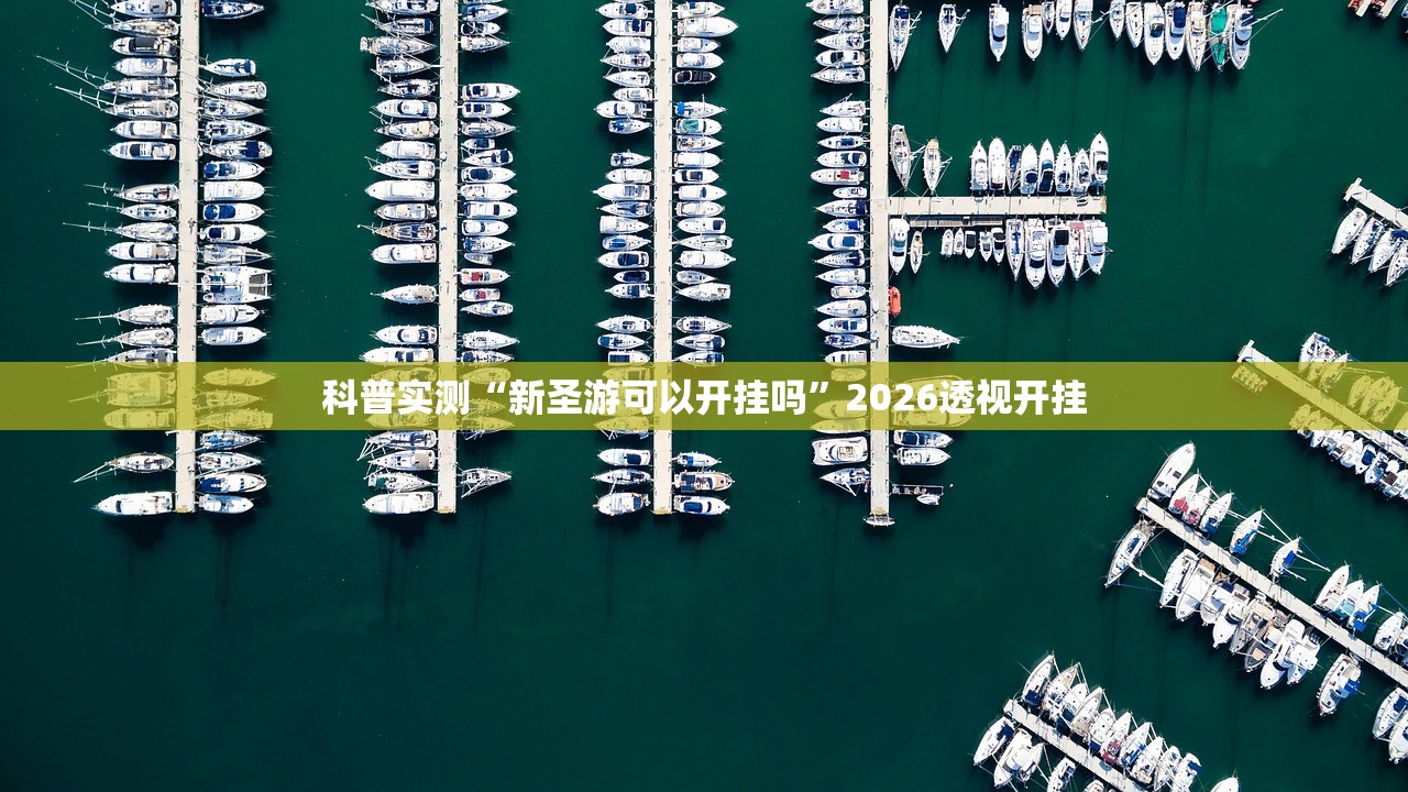 辅助神器“葫芦娃哥们可不可以开透视挂”详细分享装挂步骤