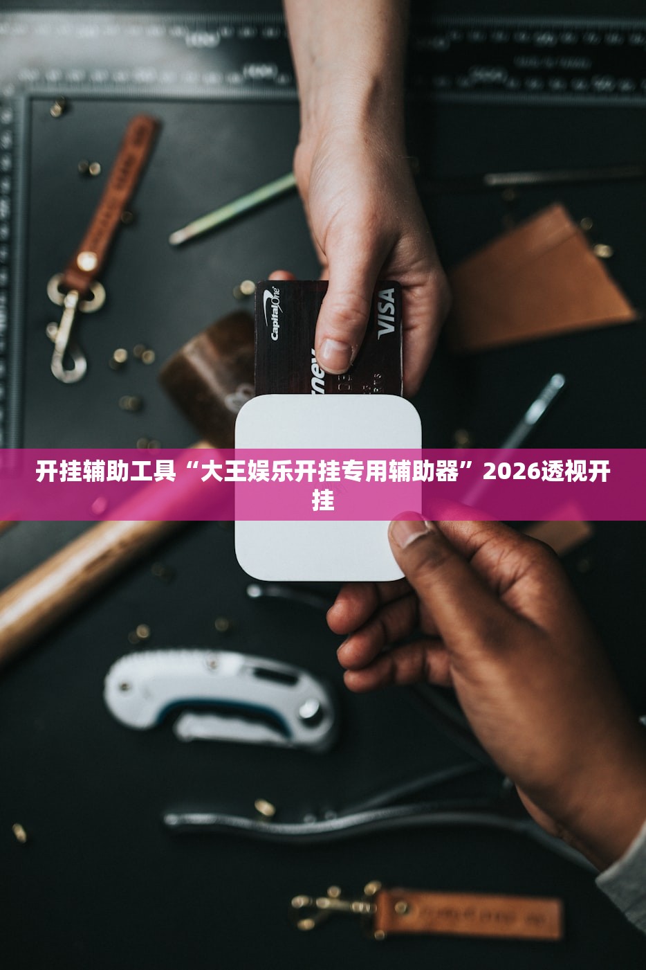 开挂辅助工具“大王娱乐开挂专用辅助器”2026透视开挂