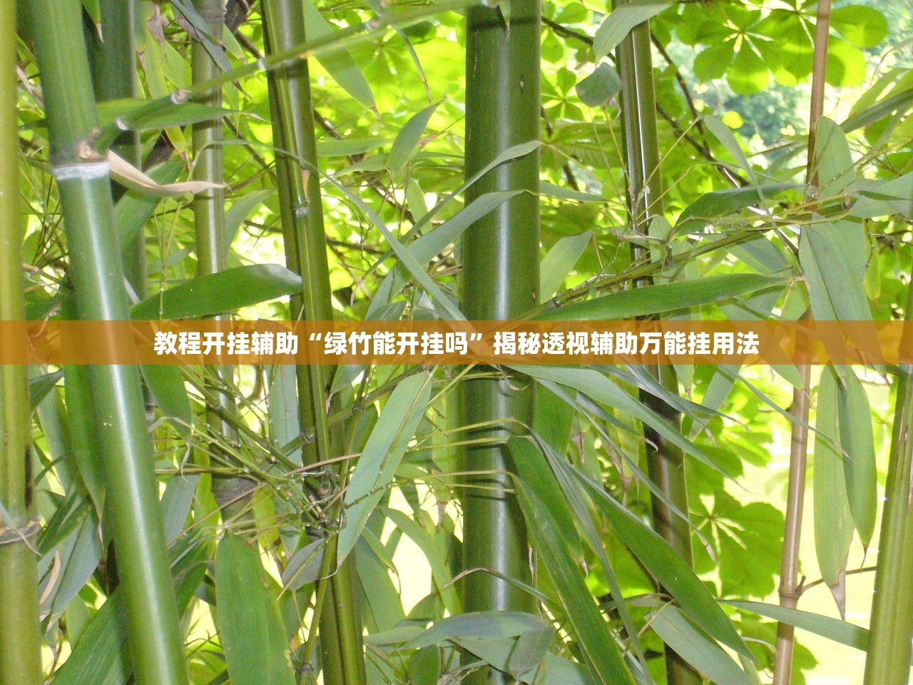 教程开挂辅助“绿竹能开挂吗”揭秘透视辅助万能挂用法