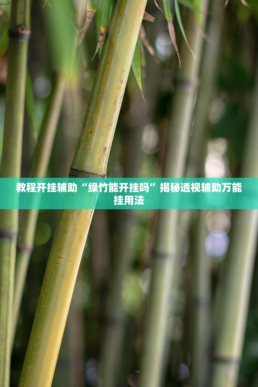 辅助神器“龙江填大坑有什么挂”真实开挂技巧分享