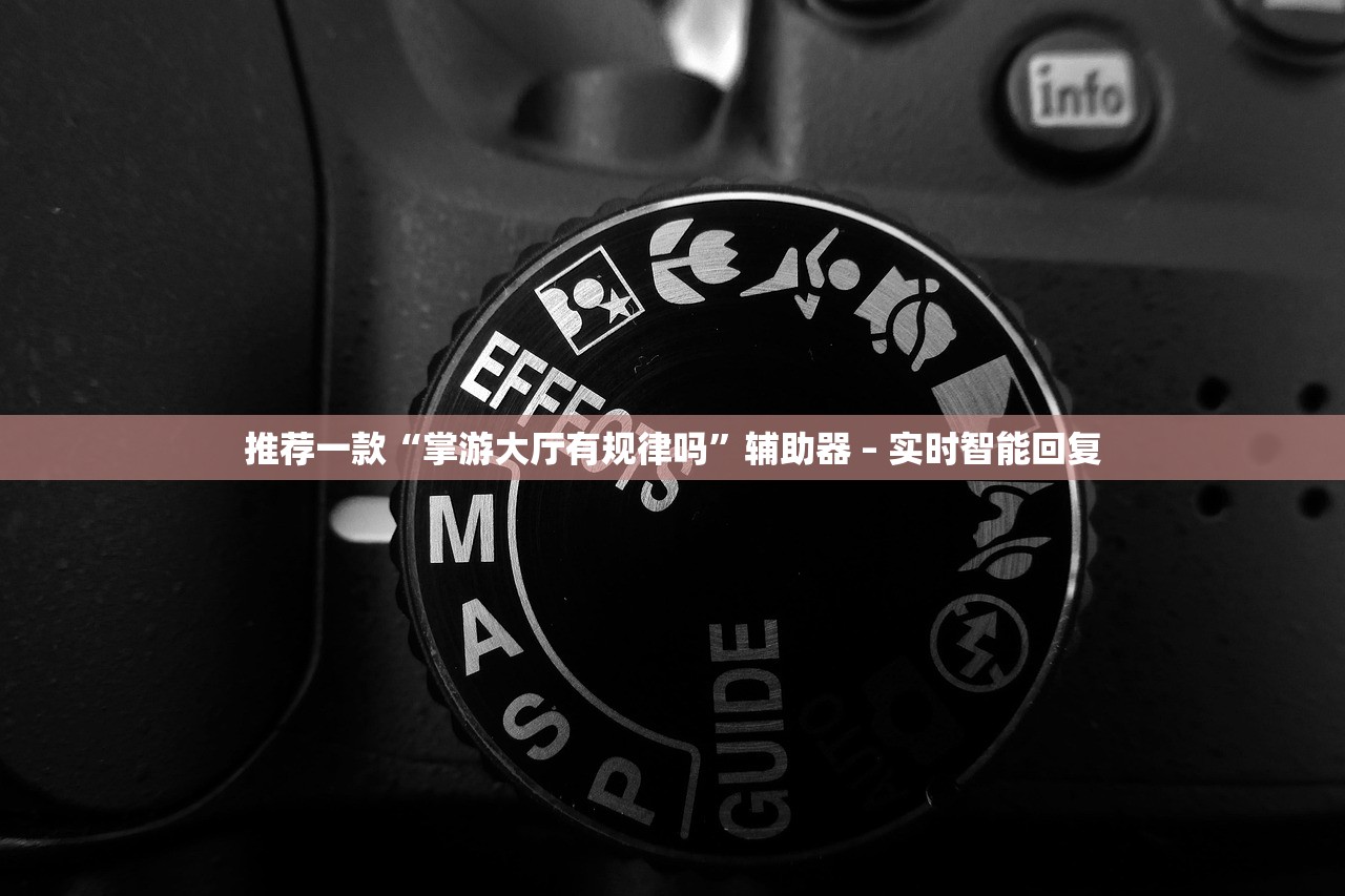 推荐一款“掌游大厅有规律吗	”辅助器 – 实时智能回复