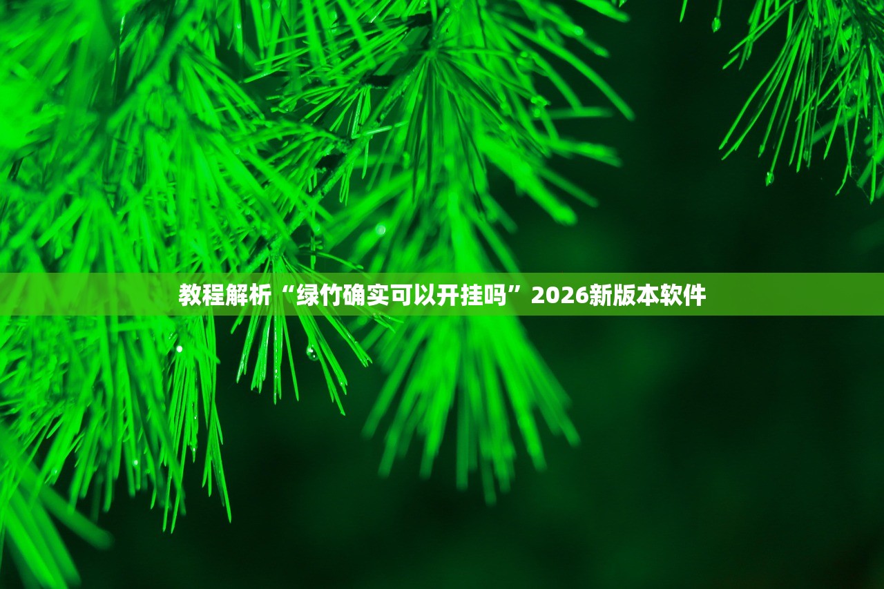 教程解析“绿竹确实可以开挂吗”2026新版本软件