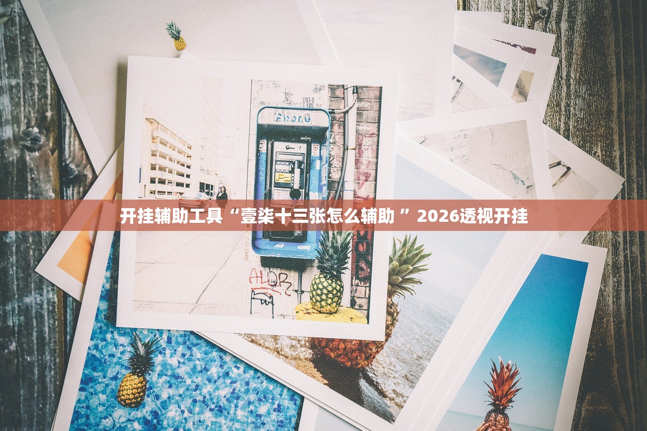 开挂辅助工具“壹柒十三张怎么辅助 ”2026透视开挂