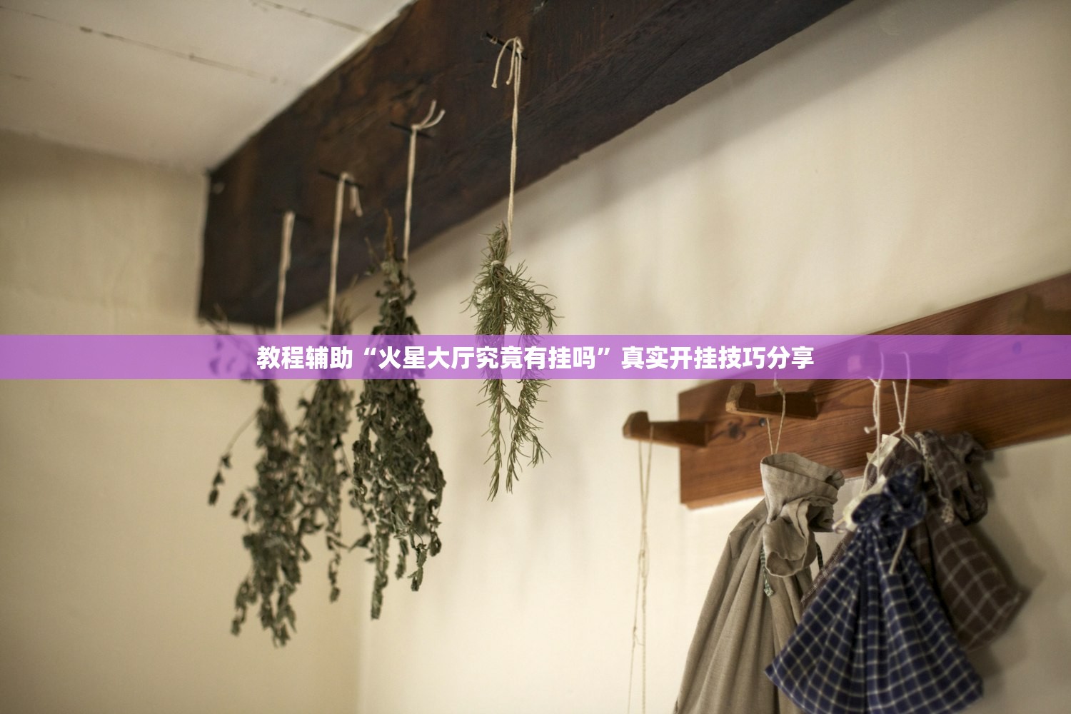 教程辅助“火星大厅究竟有挂吗”真实开挂技巧分享