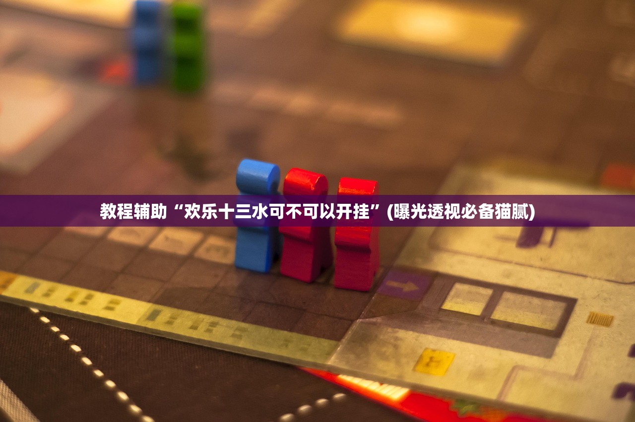 教程辅助“欢乐十三水可不可以开挂”(曝光透视必备猫腻)