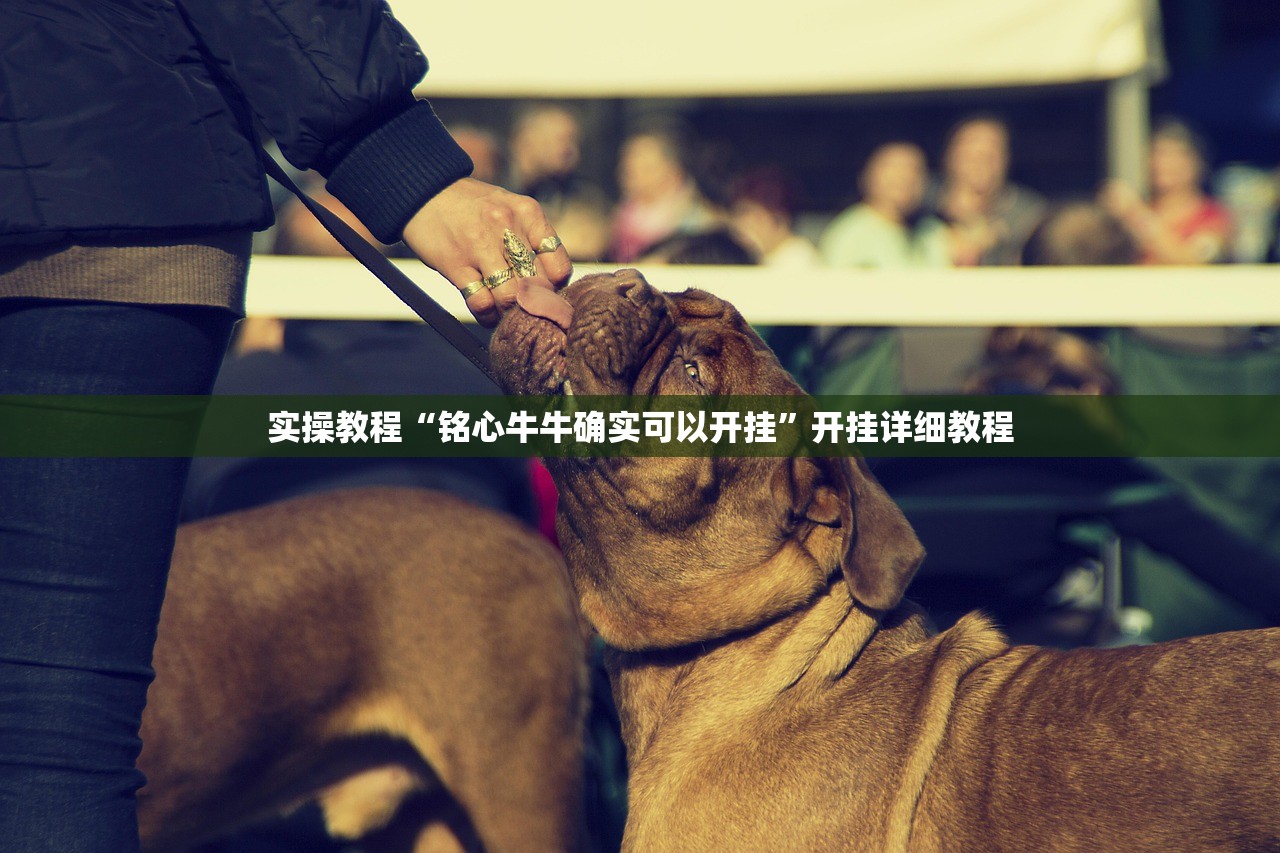 实操教程“铭心牛牛确实可以开挂”开挂详细教程