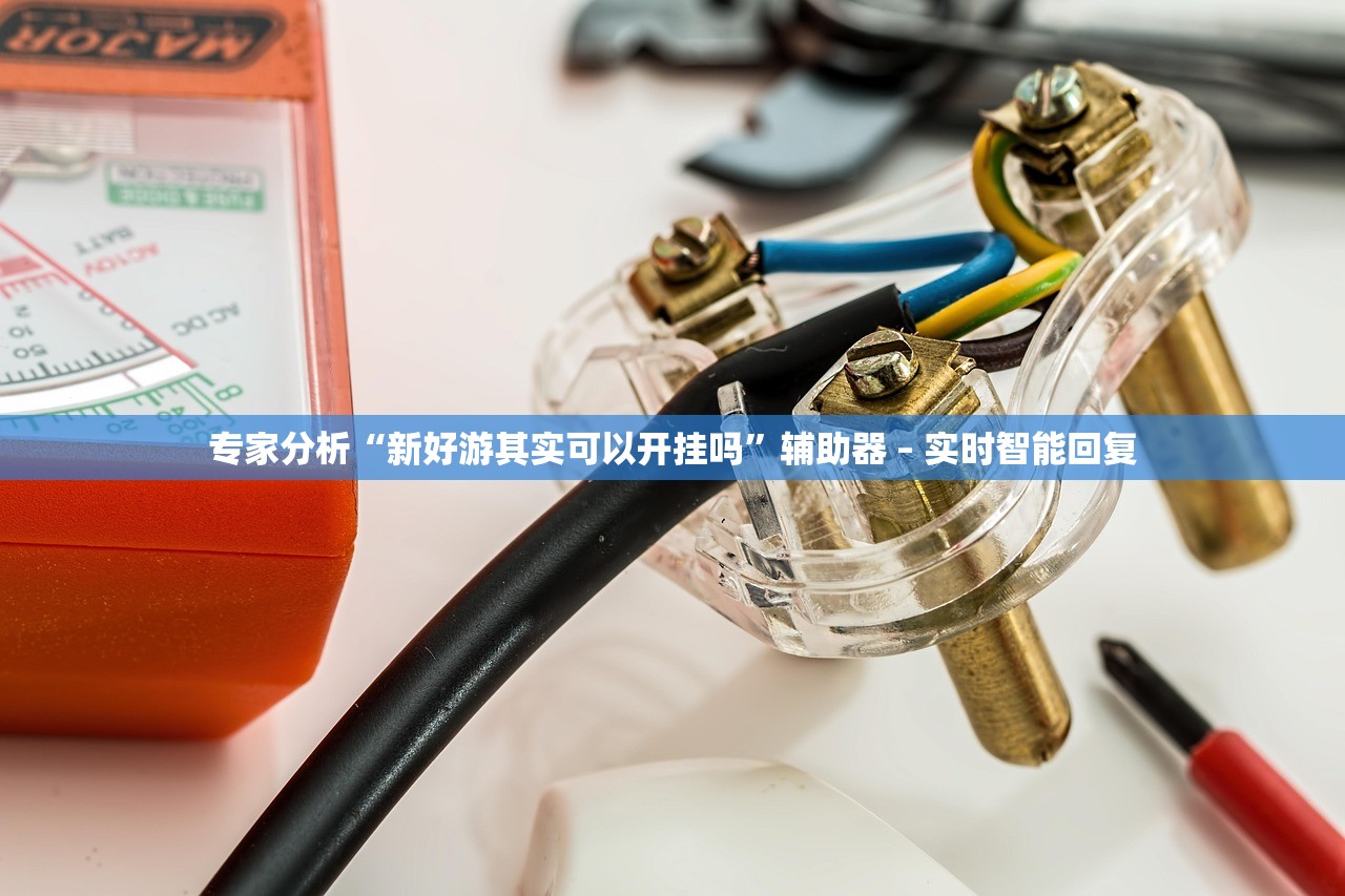 专家分析“新好游其实可以开挂吗”辅助器 – 实时智能回复