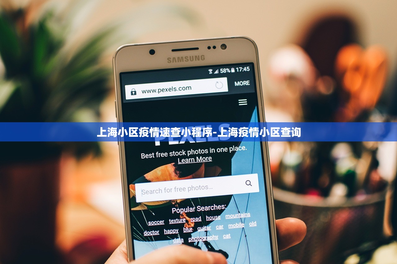上海小区疫情速查小程序-上海疫情小区查询 上海小区疫情速查小程序-上海疫情小区查询