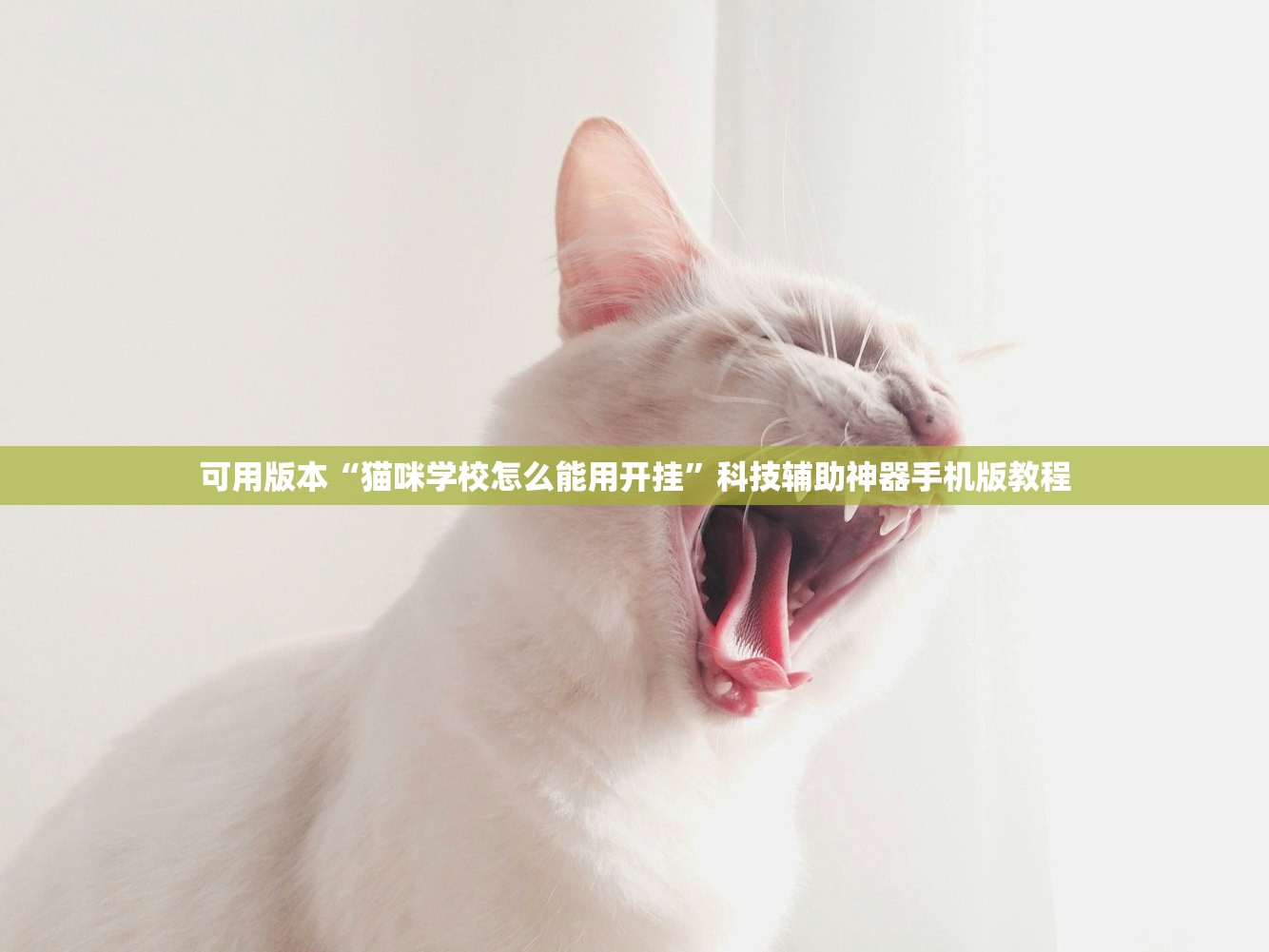可用版本“猫咪学校怎么能用开挂”科技辅助神器手机版教程