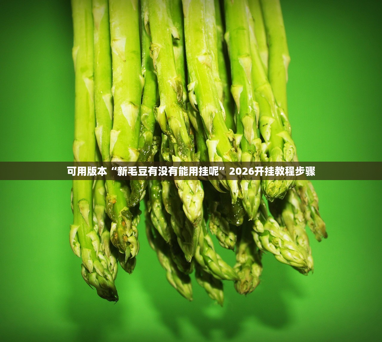 可用版本“新毛豆有没有能用挂呢”2026开挂教程步骤