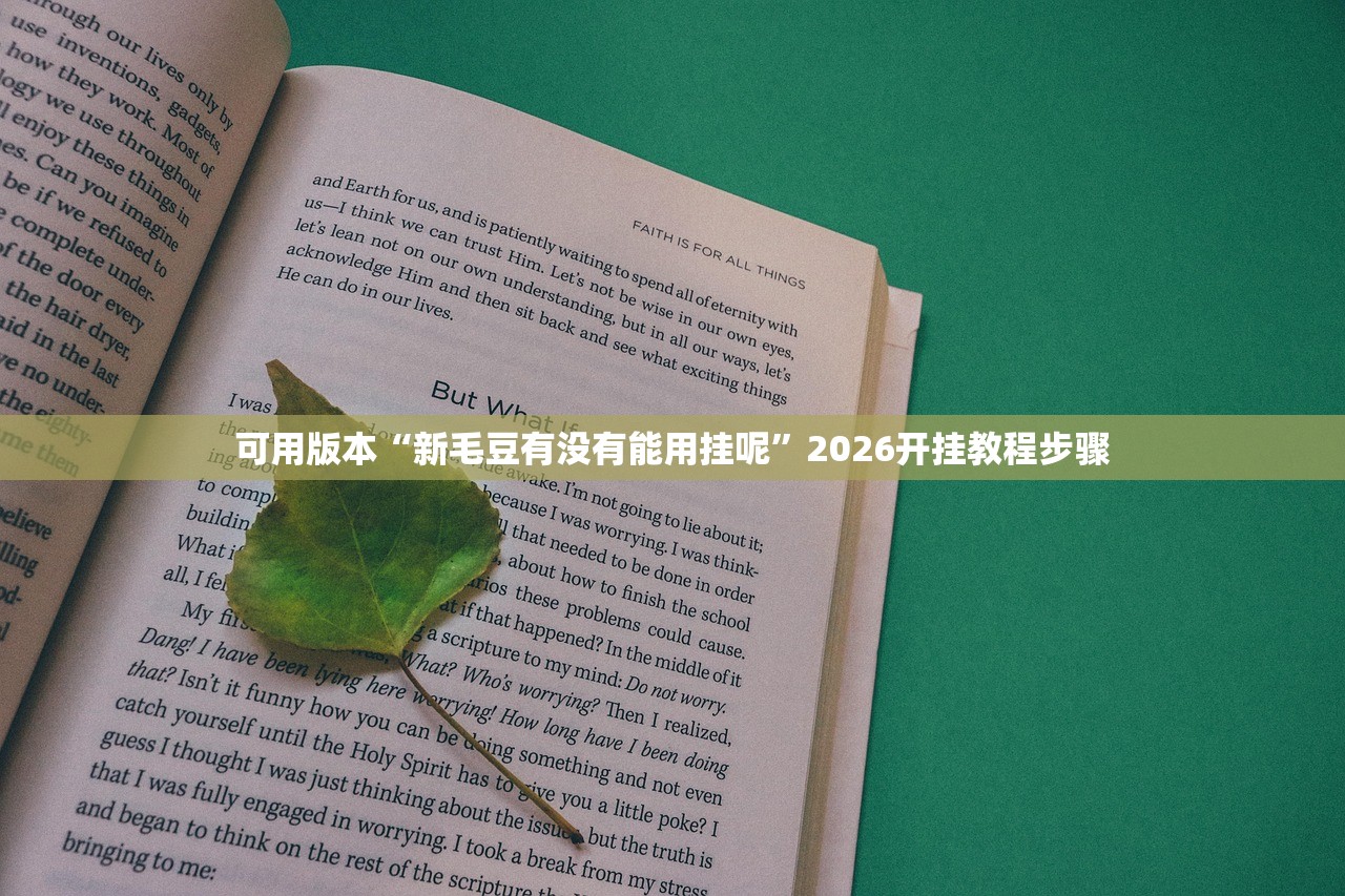可用版本“新毛豆有没有能用挂呢	”2026开挂教程步骤