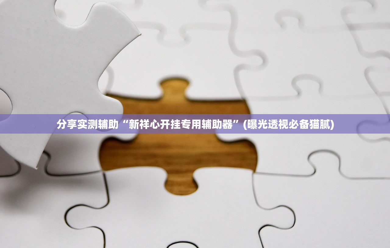 分享实测辅助“新祥心开挂专用辅助器”(曝光透视必备猫腻)
