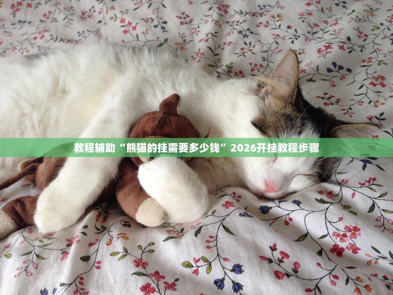 教程辅助“熊猫的挂需要多少钱”2026开挂教程步骤