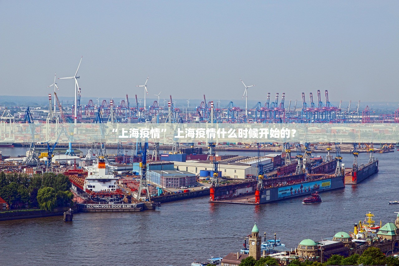 “上海疫情” 上海疫情什么时候开始的？