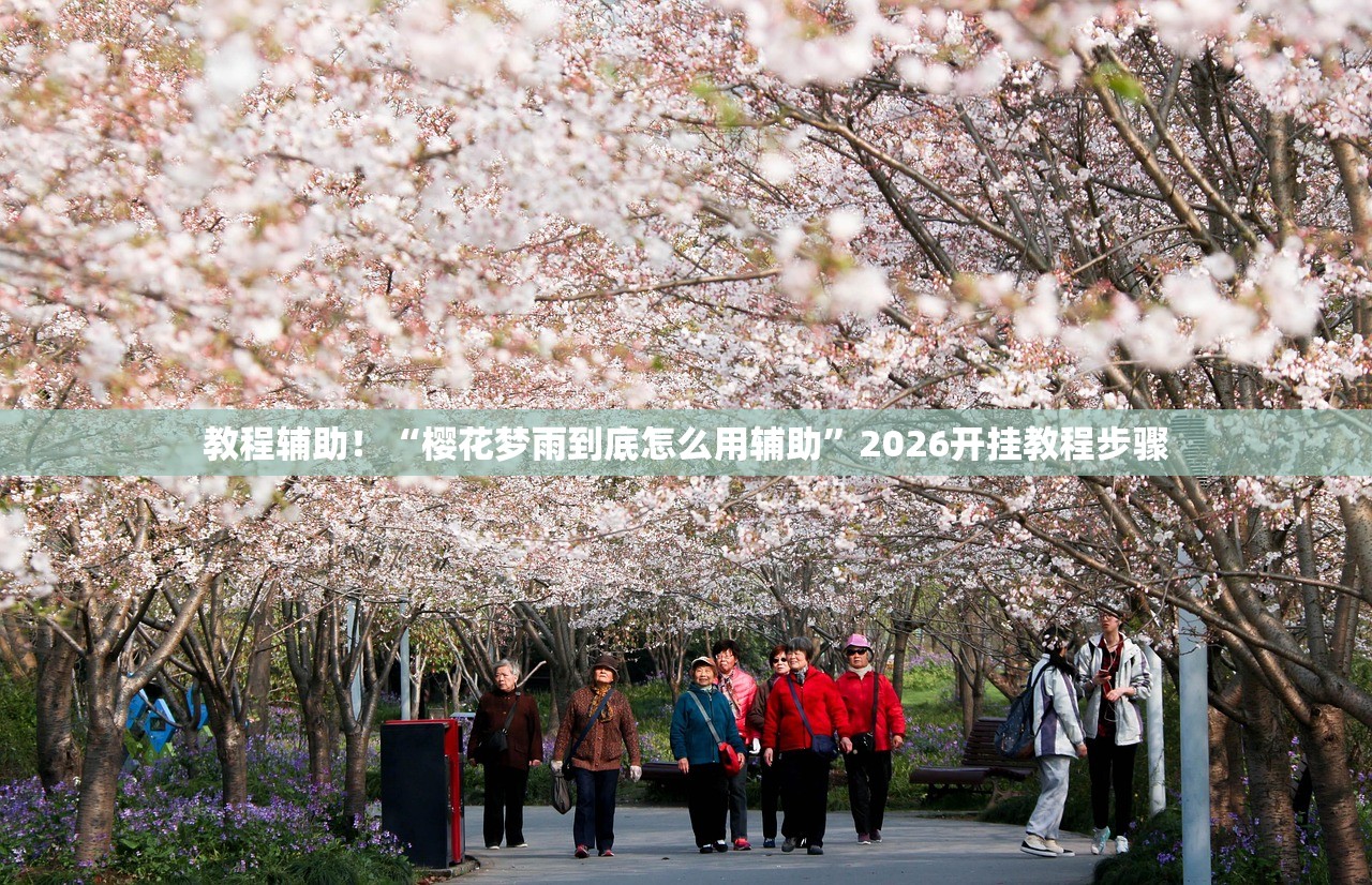教程辅助！“樱花梦雨到底怎么用辅助”2026开挂教程步骤