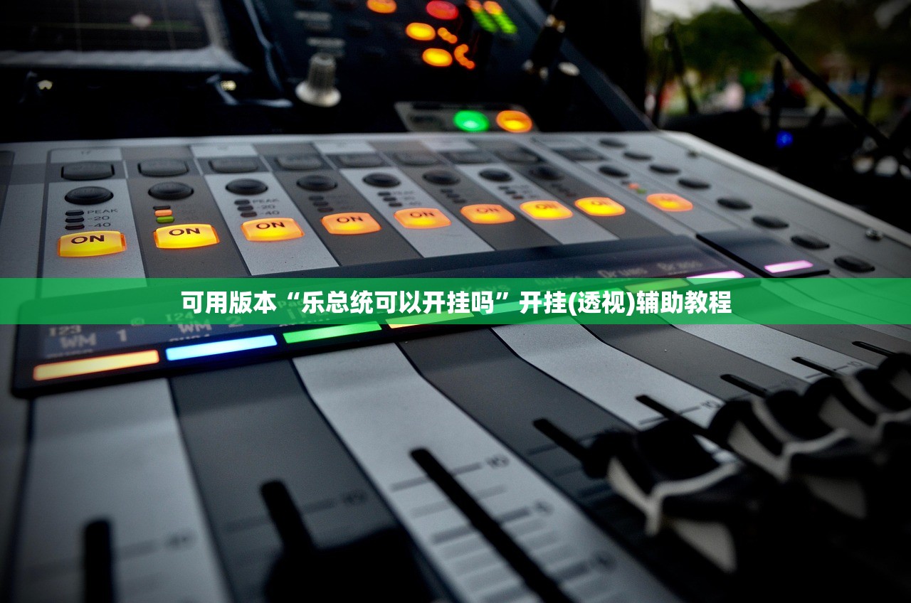 可用版本“乐总统可以开挂吗”开挂(透视)辅助教程
